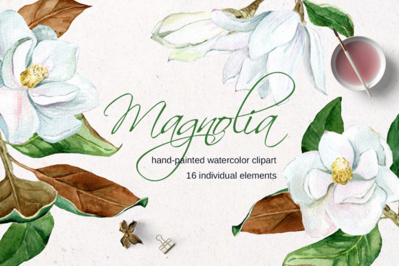 Download White Watercolor Magnolia Flower Clipart - Clipart Collection