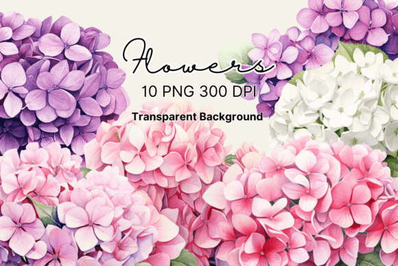 Download Watercolor Hydrangea Flowers Clipart - Clipart Collection