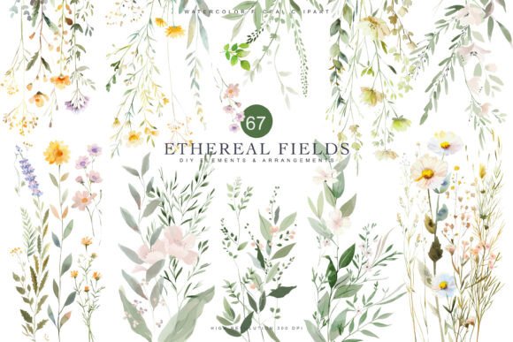 Download Watercolor Delicate Wildflower Clipart - Clipart Collection