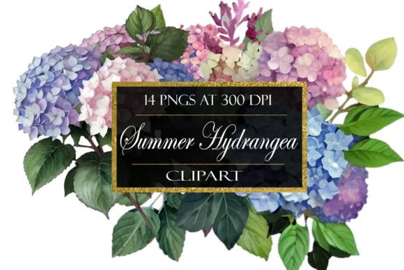 Download Summer Hydrangea Flower Clipart - Clipart Collection