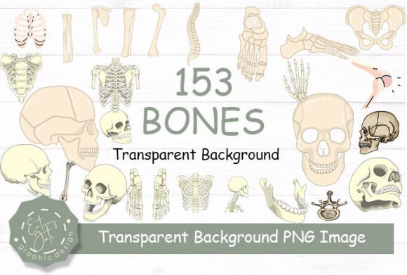 Download Bones Clipart PNG Transparent Background - Clipart Collection