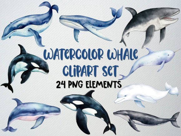 Download Watercolor Whale Clipart Set, Sea Life - Clipart Collection