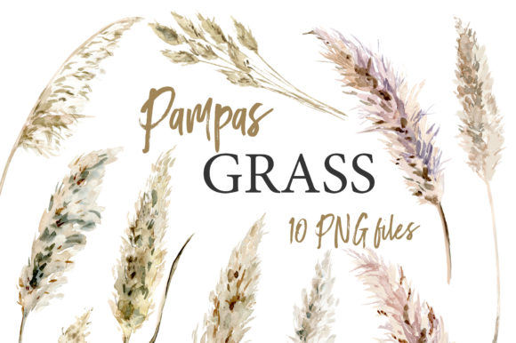Download Pampas Grass Watercolor Boho Clipart - Clipart Collection